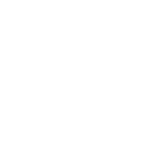 X (Twitter)